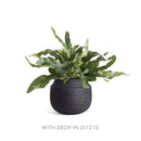 NAPA Home & Garden, GEENA CACHEPOT