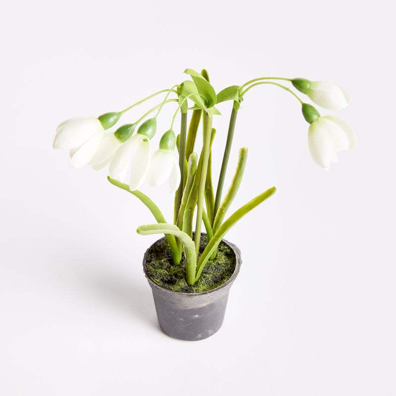 NAPA Home & Garden, SNOWDROP DROP-IN,N3GP10