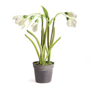 NAPA Home & Garden, SNOWDROP DROP-IN,N3GP10