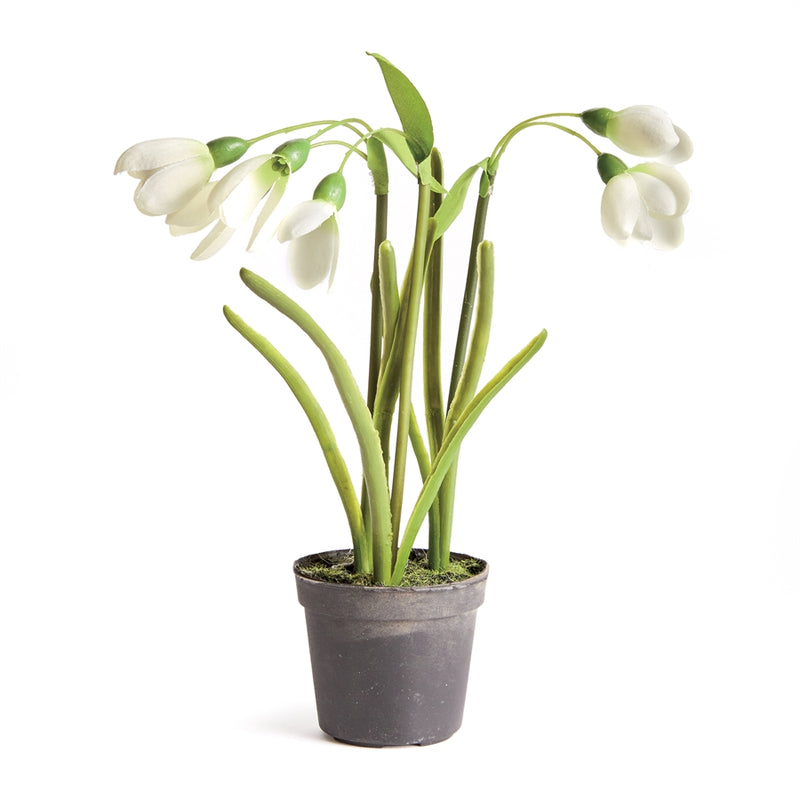 Napa Home Garden, SNOWDROP DROP-IN 7",n3gp10