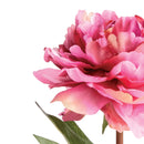 Mini Peony Potted Plant by NAPA Home & Garden