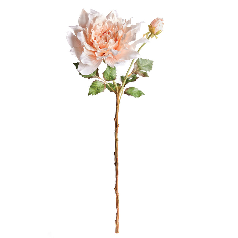 NAPA Home & Garden, Dahlia Stem Collection