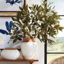 NAPA Home & Garden, EUCALYPTUS SEED STEM 41",N3GP14