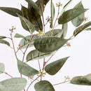 NAPA Home & Garden, EUCALYPTUS SEED STEM 41",N3GP14