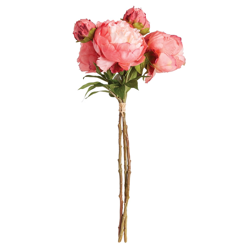 Napa Home Garden, PEONIES 21" BUNDLE/3 CORAL,n3gp212rg