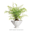 NAPA Home & Garden Decorative Vases and Bowls Collection