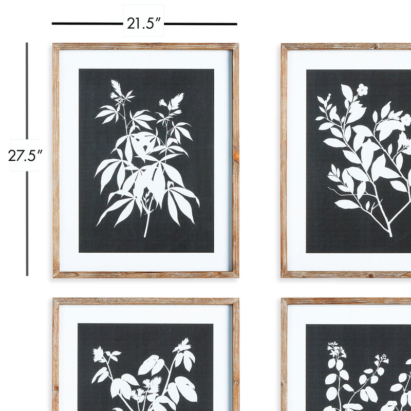 NAPA Home & Garden, MONOCHROME BOTANICAL PRINTS, SET OF 4,N3NH27