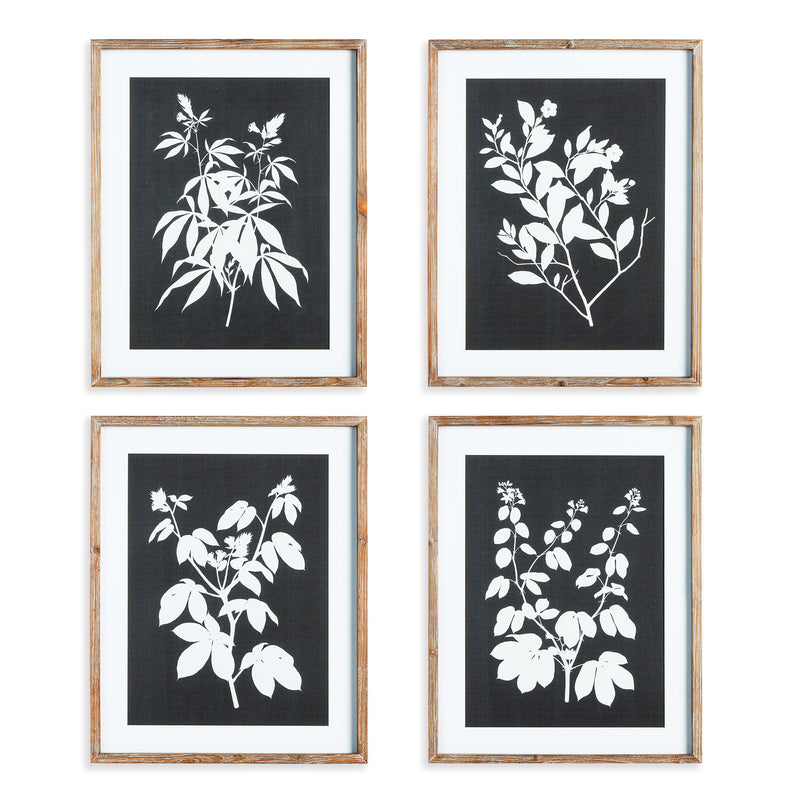 NAPA Home & Garden, MONOCHROME BOTANICAL PRINTS, SET OF 4,N3NH27