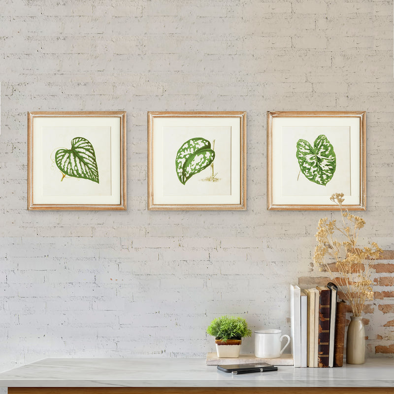 NAPA Home & Garden, LEAF CUTTINGS PETITE PRINTS, SET OF 3,N3NH28