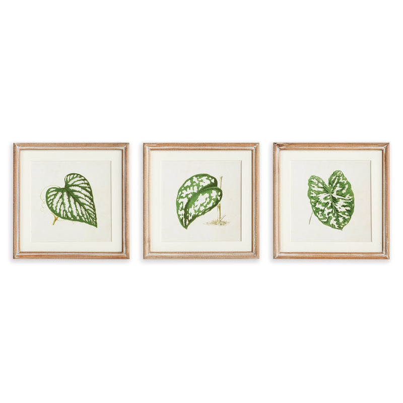 NAPA Home & Garden, LEAF CUTTINGS PETITE PRINTS, SET OF 3,N3NH28