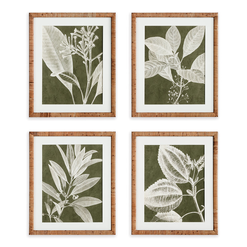 NAPA Home & Garden, TRANSLUCENT STEM PRINTS, SET OF 4,N3NH29