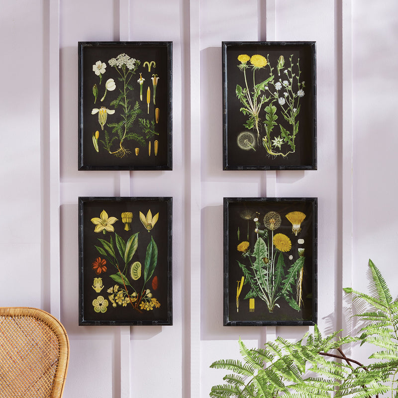 NAPA Home & Garden, GOLDEN BOTANICAL STUDY, SET OF 4,N3NH34