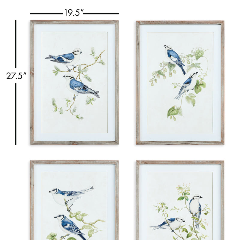 NAPA Home & Garden, BLUE BIRDS PRINTS, SET OF 4,N3NH35