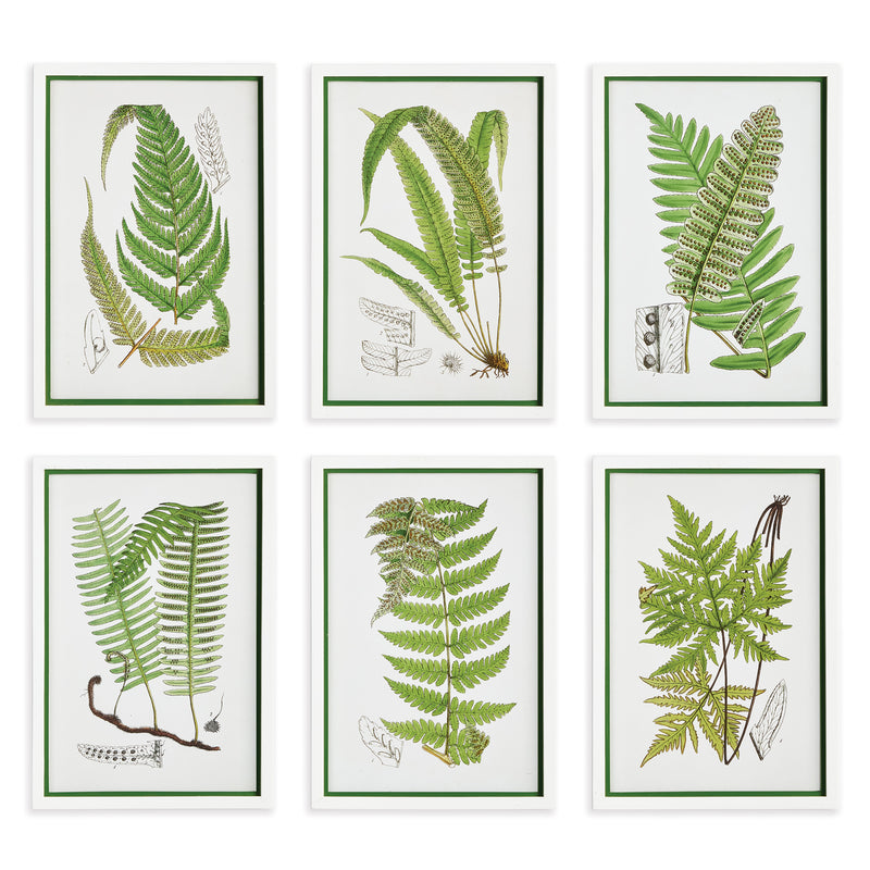 NAPA Home & Garden, LAYERED FERN PRINTS, SET OF 6,N3NH38