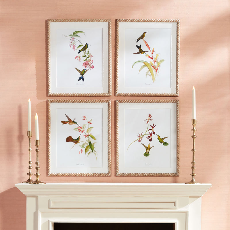 NAPA Home & Garden, PLAYFUL HUMMINGBIRD PRINTS, SET OF 4,N3NH40