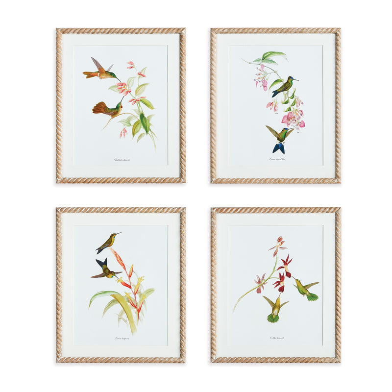 NAPA Home & Garden, PLAYFUL HUMMINGBIRD PRINTS, SET OF 4,N3NH40