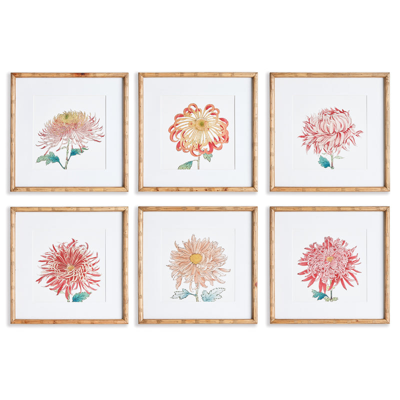 NAPA Home & Garden, COLORFUL CHRYSANTHEMUM PRINTS, SET OF 6,N3NH43