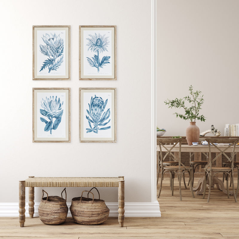 NAPA Home & Garden, INDIGO PROTEA PRINTS, SET OF 4,N3NH49