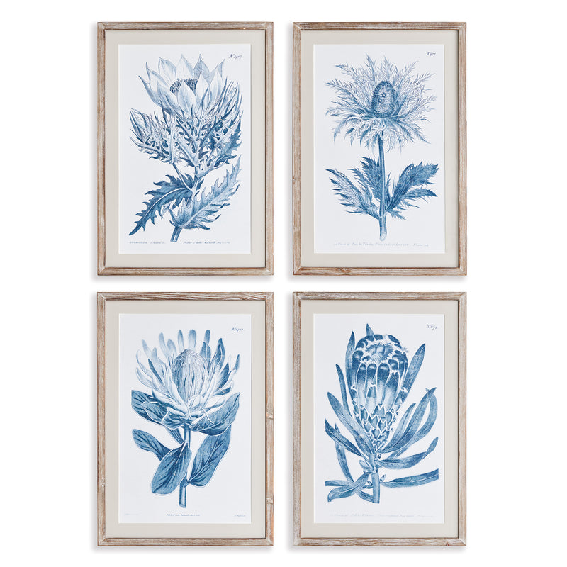 NAPA Home & Garden, INDIGO PROTEA PRINTS, SET OF 4,N3NH49