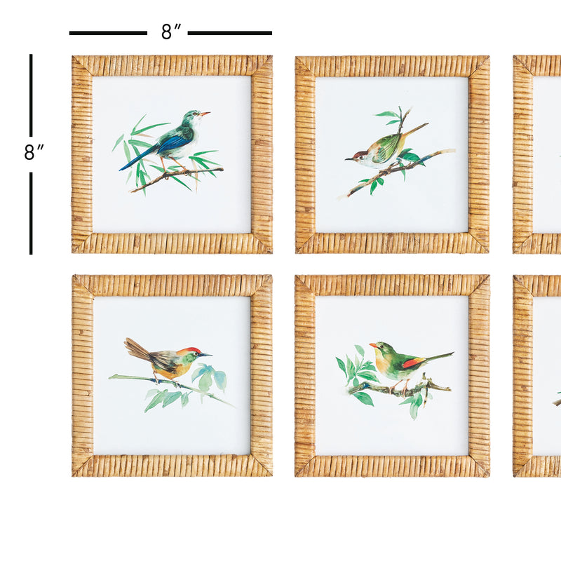 NAPA Home & Garden, SONGBIRD PETITE PRINTS, SET OF 6,N3NH51