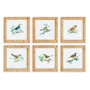 NAPA Home & Garden, SONGBIRD PETITE PRINTS, SET OF 6,N3NH51