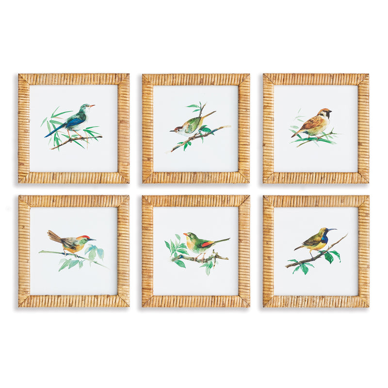 NAPA Home & Garden, SONGBIRD PETITE PRINTS, SET OF 6,N3NH51