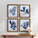 NAPA Home & Garden, INDIGO SEAWEED PRINTS, SET OF 4,N3NH52