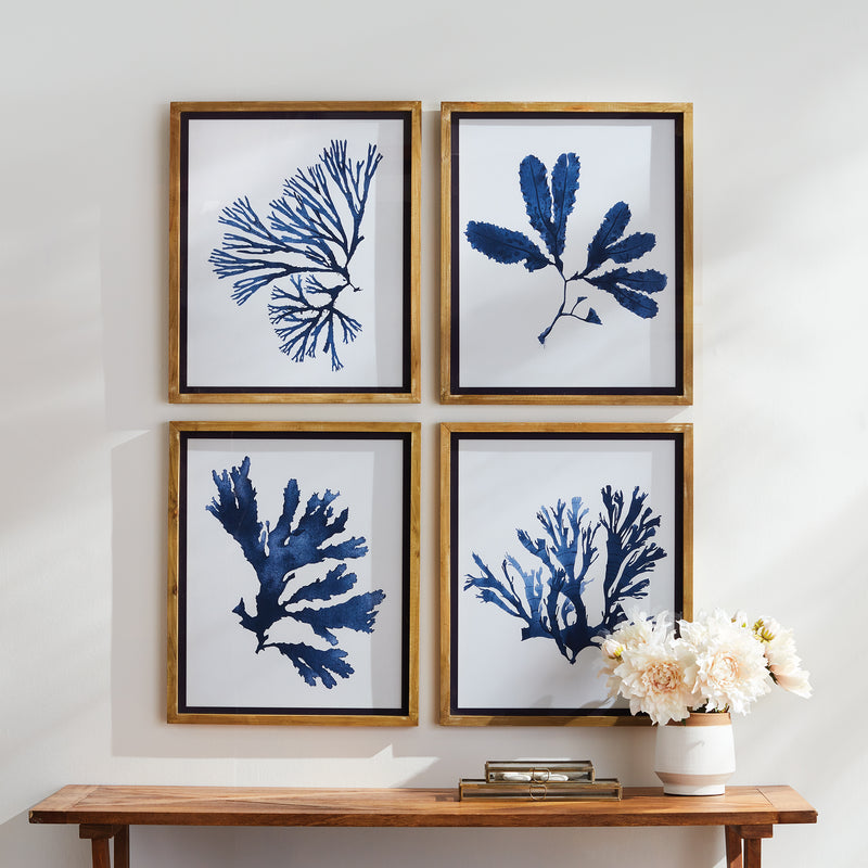 NAPA Home & Garden, INDIGO SEAWEED PRINTS, SET OF 4,N3NH52