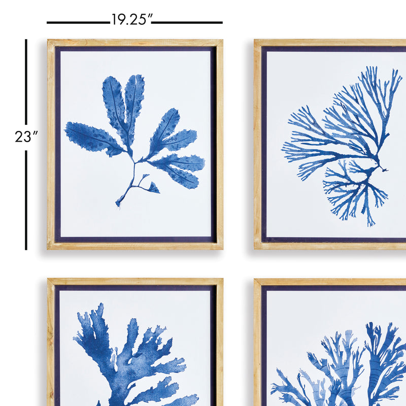 NAPA Home & Garden, INDIGO SEAWEED PRINTS, SET OF 4,N3NH52