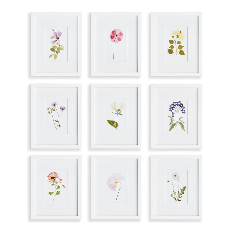 NAPA Home & Garden, MOUNTAIN FLOWER PETITE PRINTS, SET OF 9,N3NH54