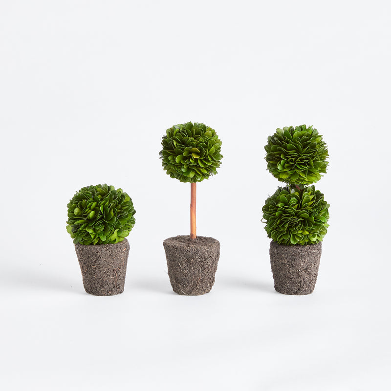 NAPA Home & Garden, BOXWOOD MINI TOPIARY DROP-INS, SET OF 3,N3PG01