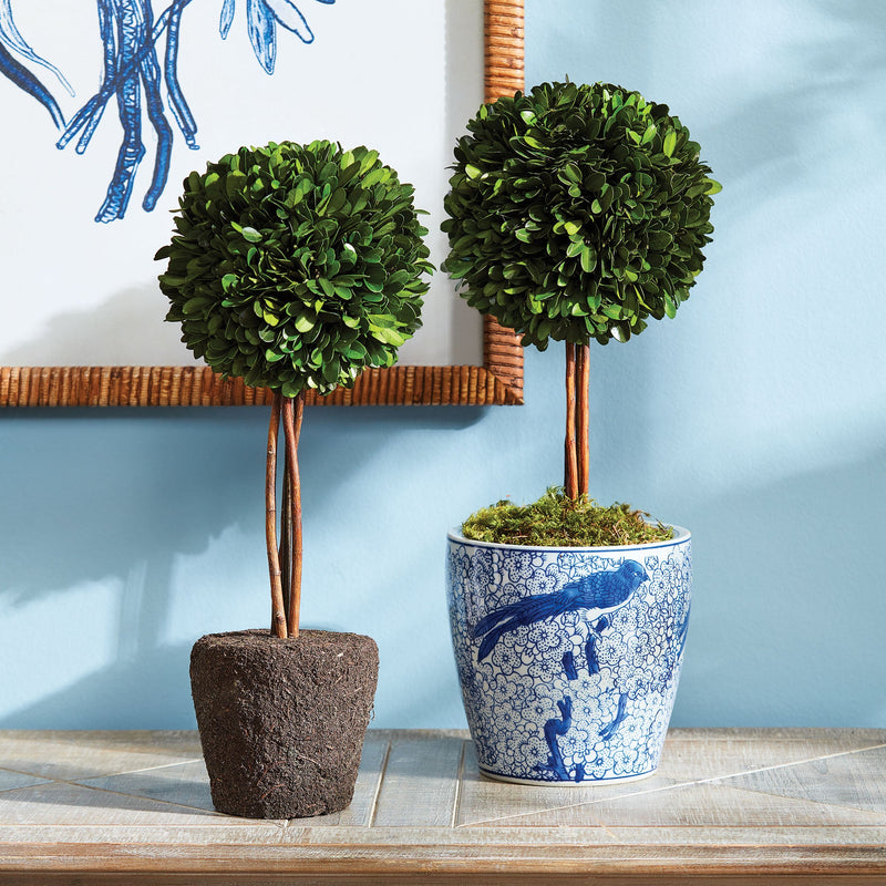 "NAPA Home & Garden, Boxwood Topiary Drop-In Collection"