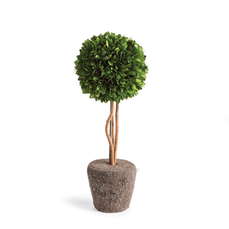 NAPA Home & Garden, BOXWOOD SINGLE SPHERE TOPIARY DROP-IN 16",N3PG02