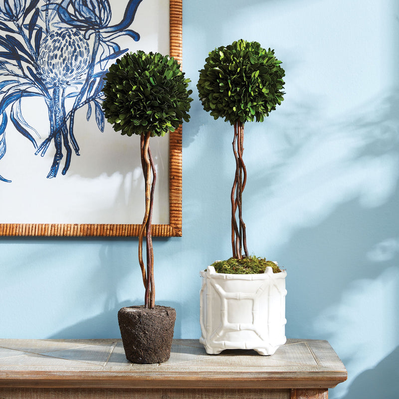 "NAPA Home & Garden, Boxwood Topiary Drop-In Collection"