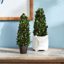"NAPA Home & Garden, Boxwood Topiary Drop-In Collection"