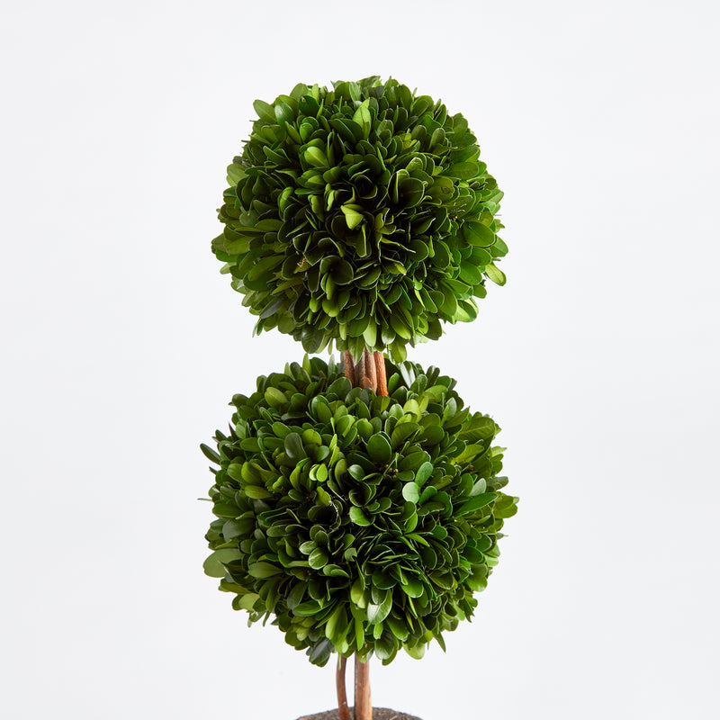 NAPA Home & Garden, BOXWOOD DOUBLE SPHERE TOPIARY DROP-IN 20",N3PG07