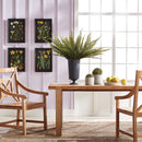 NAPA Home & Garden, TERRAZZA Collection