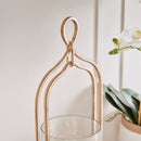 NAPA Home & Garden, Braiden & Amara Collection