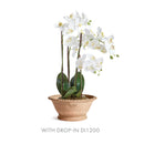 NAPA Home & Garden, WAKEFIELD Handmade Alvena Forcing Pot Collection