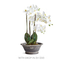 NAPA Home & Garden, WAKEFIELD Handmade Alvena Forcing Pot Collection