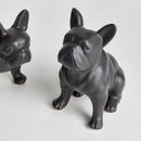 NAPA Home & Garden, Three Dog Night Collection