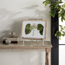 NAPA Home & Garden, Decorative Easels Collection