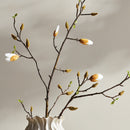 NAPA Home & Garden, MAGNOLIA BUDDING BRANCH,N4CC03