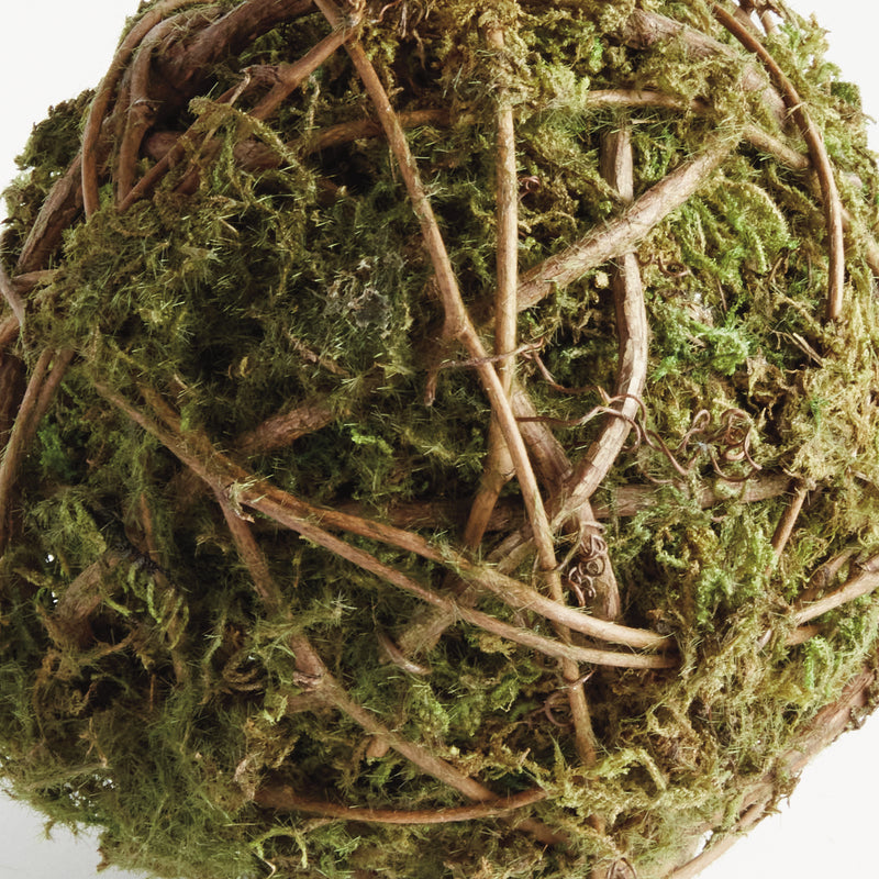 NAPA Home & Garden, MOSSY VINE ORB 6",N4CC05