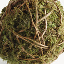 NAPA Home & Garden, MOSSY VINE ORB Collection