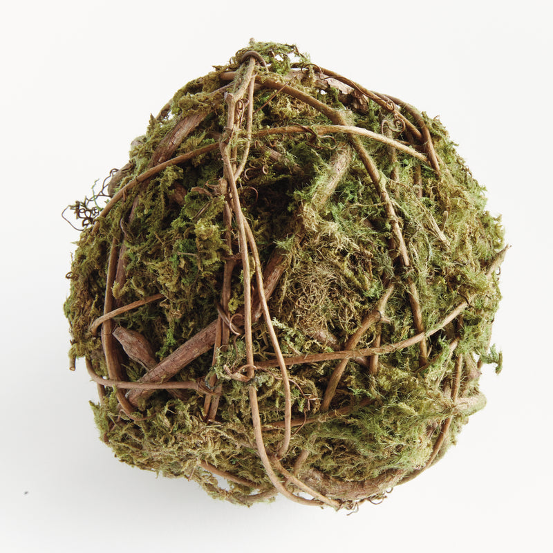 NAPA Home & Garden, MOSSY VINE ORB 6",N4CC05