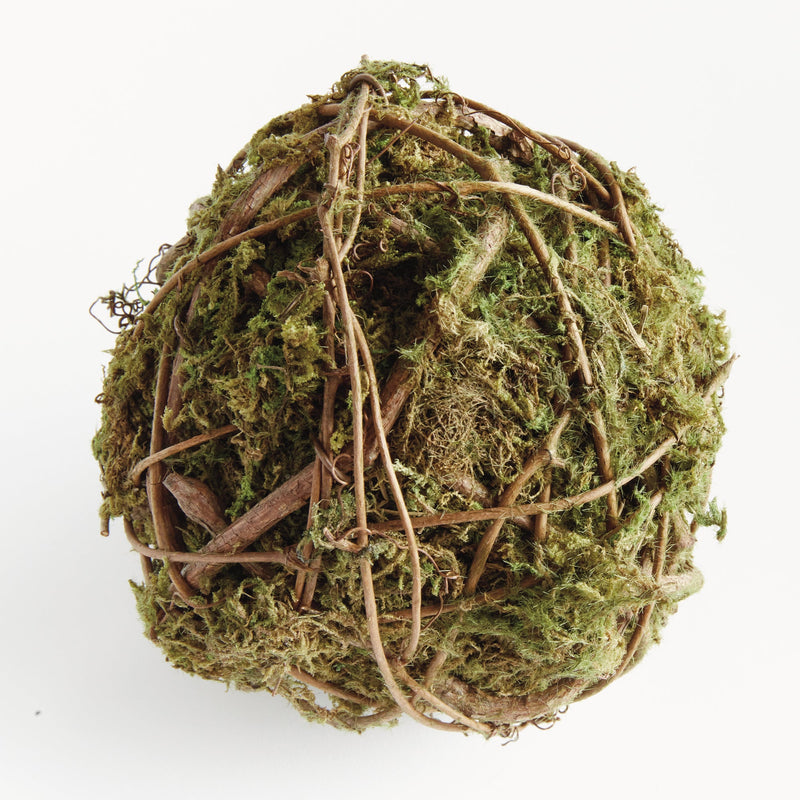 NAPA Home & Garden, MOSSY VINE ORB Collection
