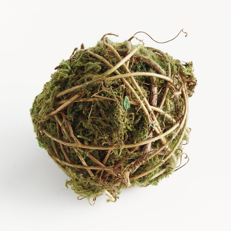 NAPA Home & Garden, MOSSY VINE ORB 4",N4CC06