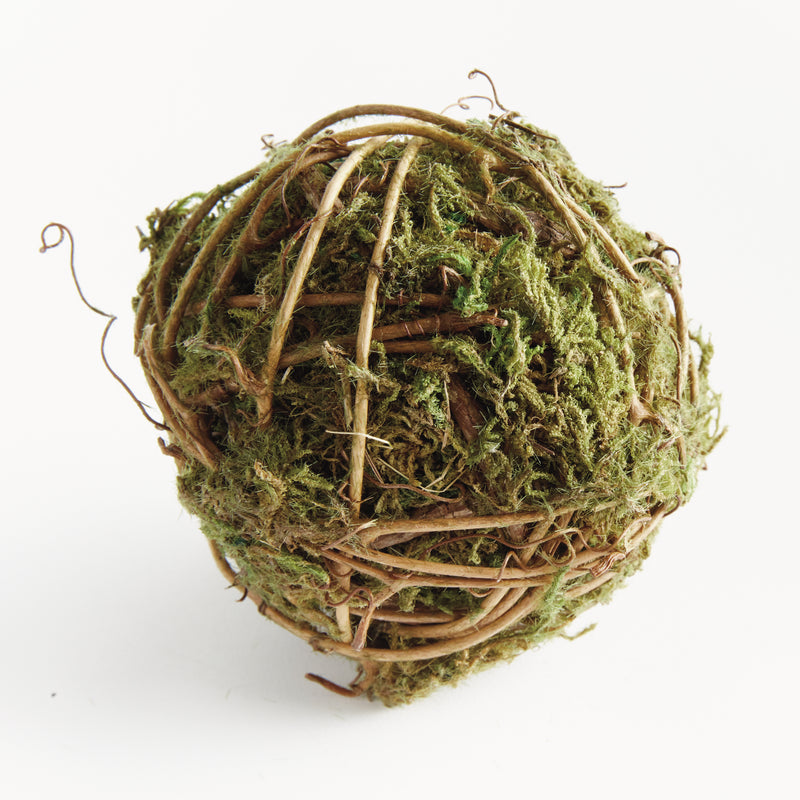 NAPA Home & Garden, MOSSY VINE ORB 4",N4CC06