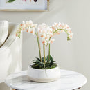 "NAPA Home & Garden, PHALAENOPSIS ORCHID DROP-IN COLLECTION"